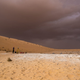 This is how the Al Wusta area looks today, but 88,000 years ago, the region contained grasslands, lakes, and rivers.